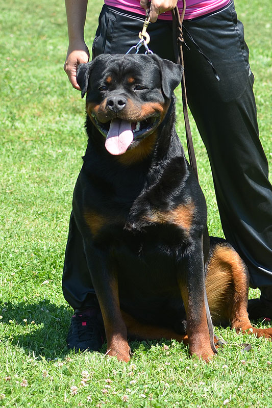 Yumbo von der Alten Festung Yumbo von der Alten Festung